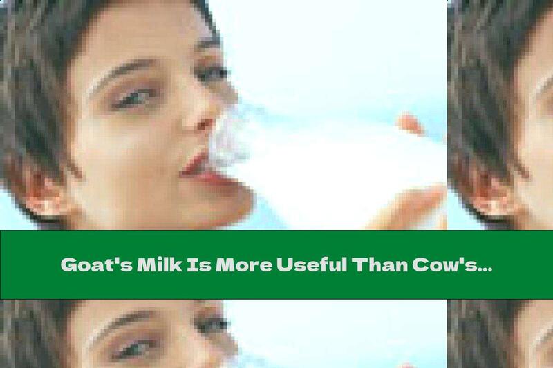 Goat's Milk Is More Useful Than Cow's Milk
