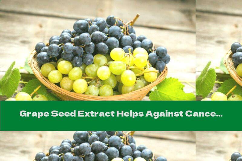Grape Seed Extract Helps Against Cancer