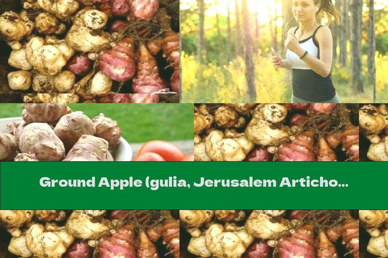 Ground Apple (gulia, Jerusalem Artichoke)
