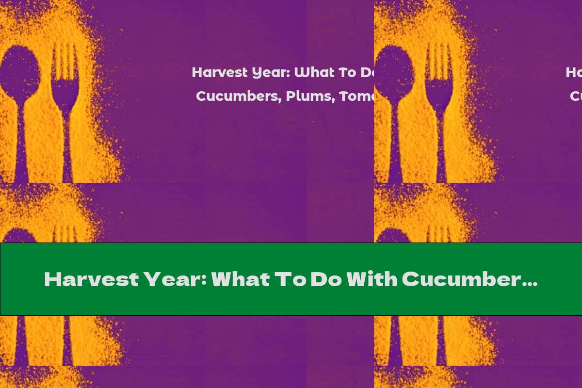 Harvest Year: What To Do With Cucumbers, Plums, Tomatoes And Apples?