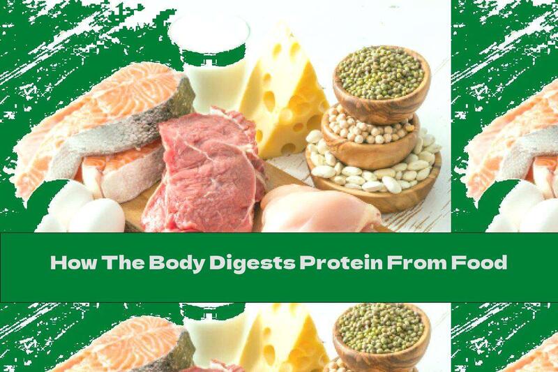 How The Body Digests Protein From Food