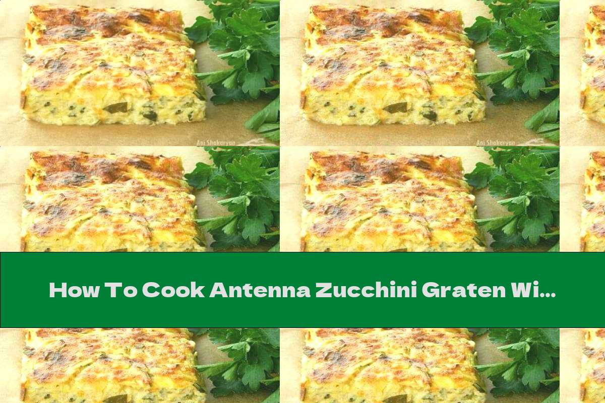 How To Cook Antenna Zucchini Graten With Recipe