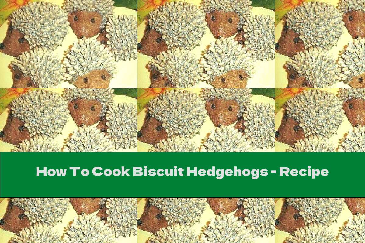How To Cook Biscuit Hedgehogs Recipe This Nutrition