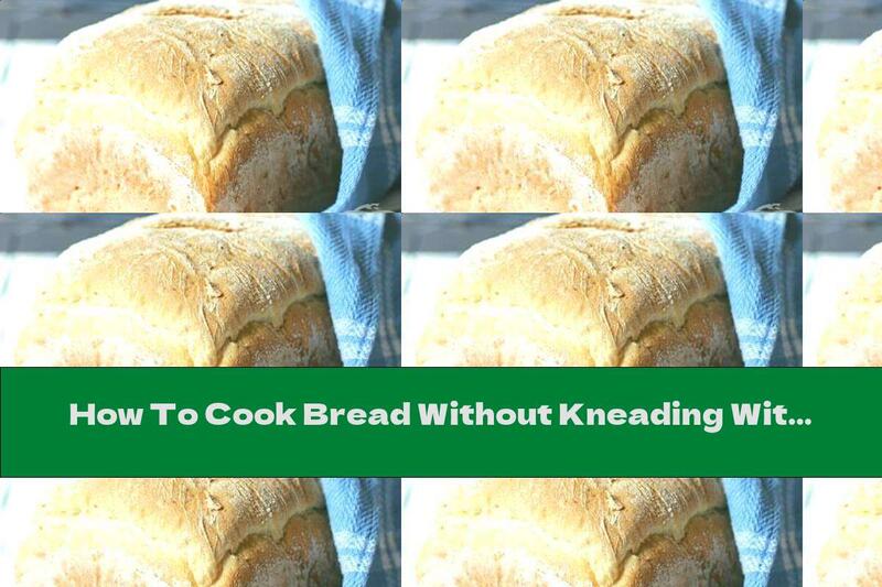 How To Cook Bread Without Kneading With Sunflower And Oatmeal - Recipe
