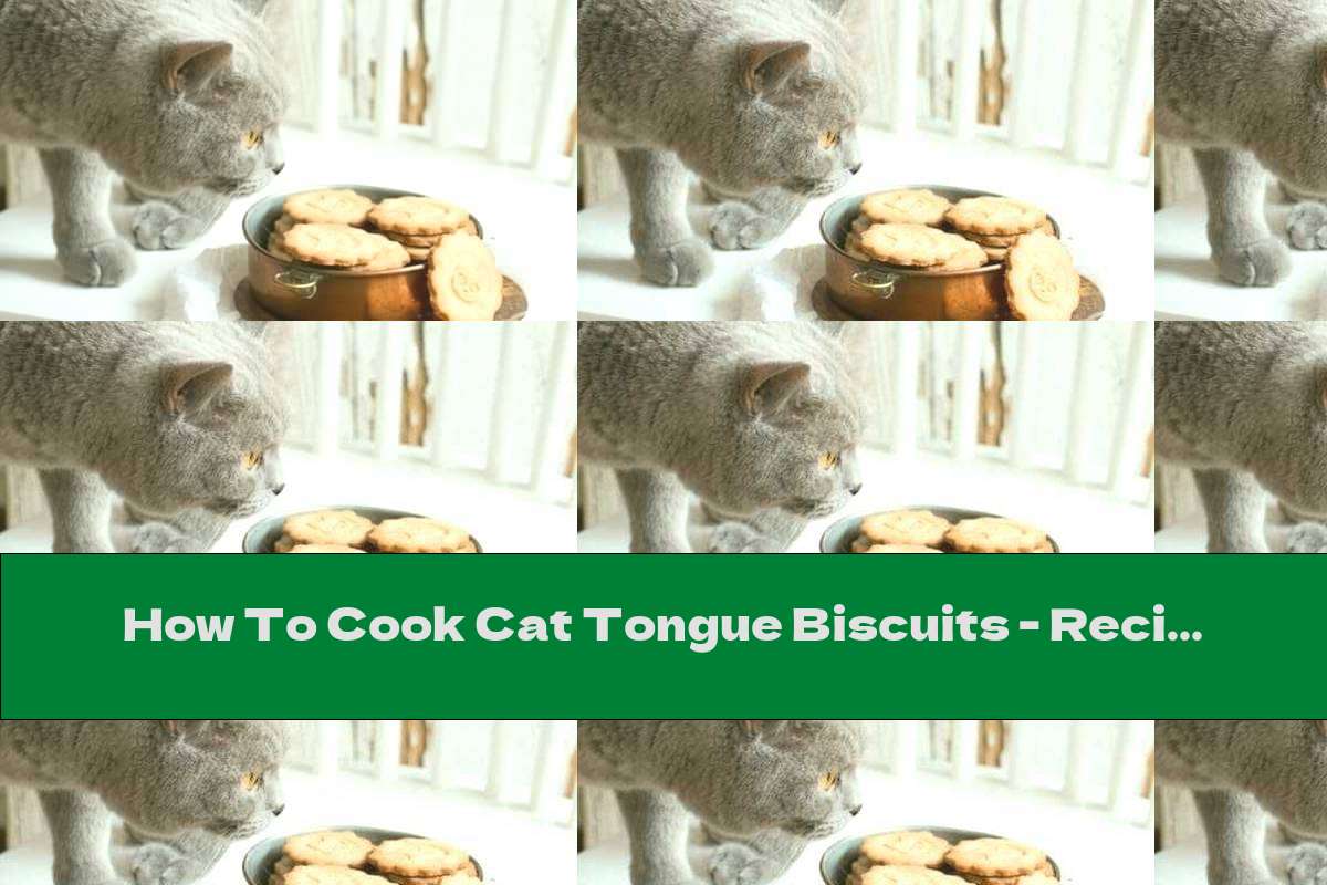 How To Cook Cat Tongue Biscuits Recipe This Nutrition