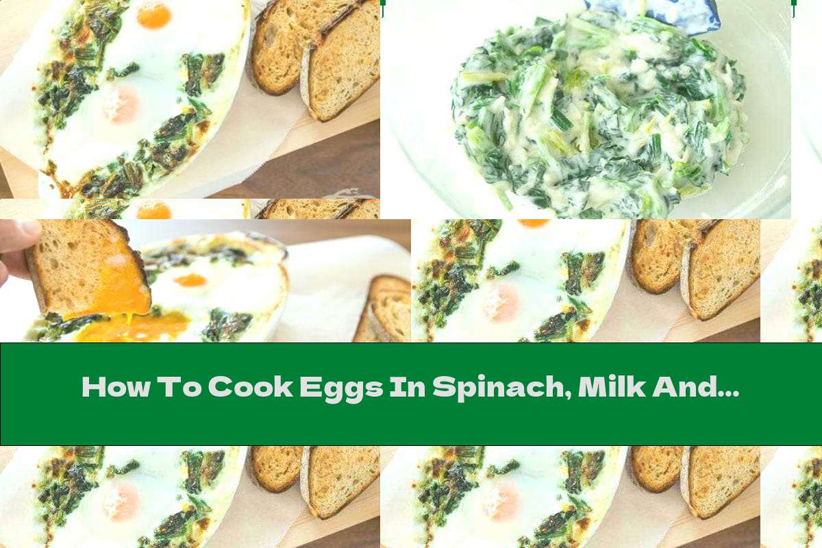 How To Cook Eggs In Spinach, Milk And Yellow Cheese In The Oven