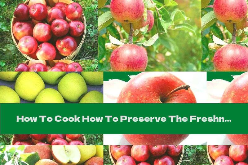 How To Cook How To Preserve The Freshness Of Apples In Winter? - Recipe