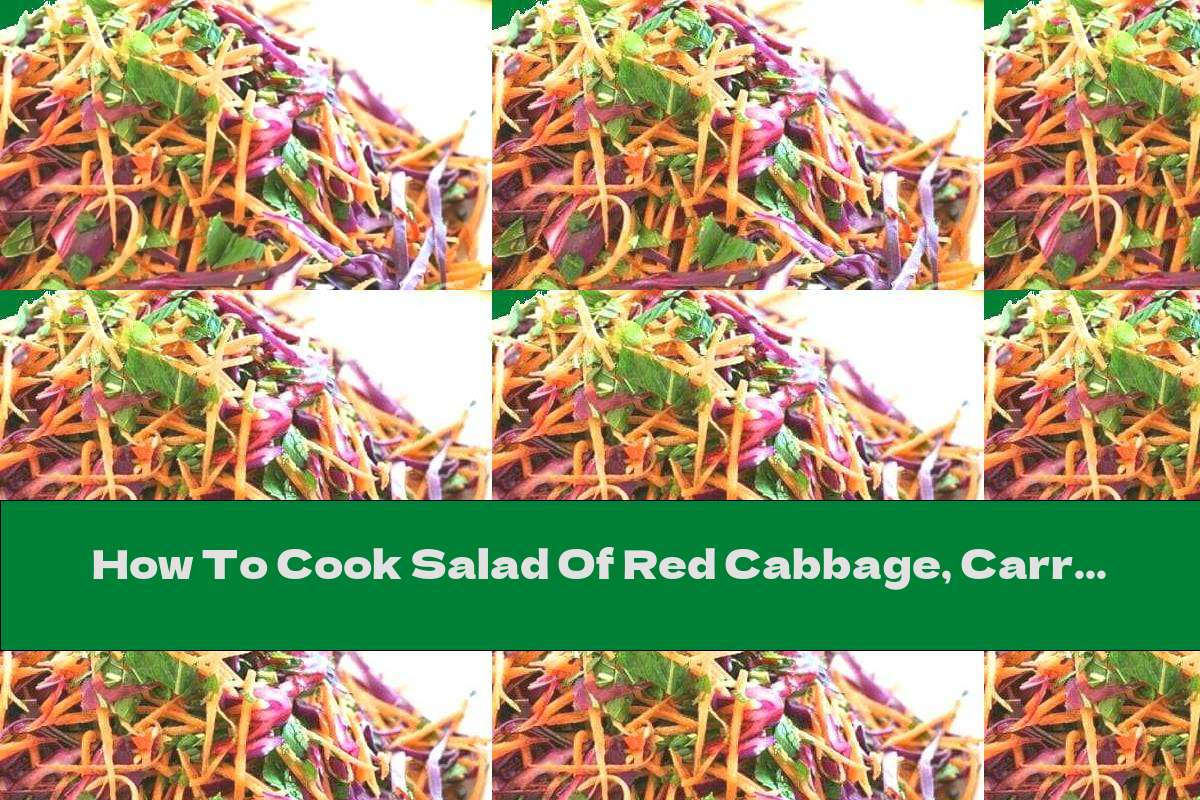 How To Cook Salad Of Red Cabbage, Carrots And Mint - Recipe