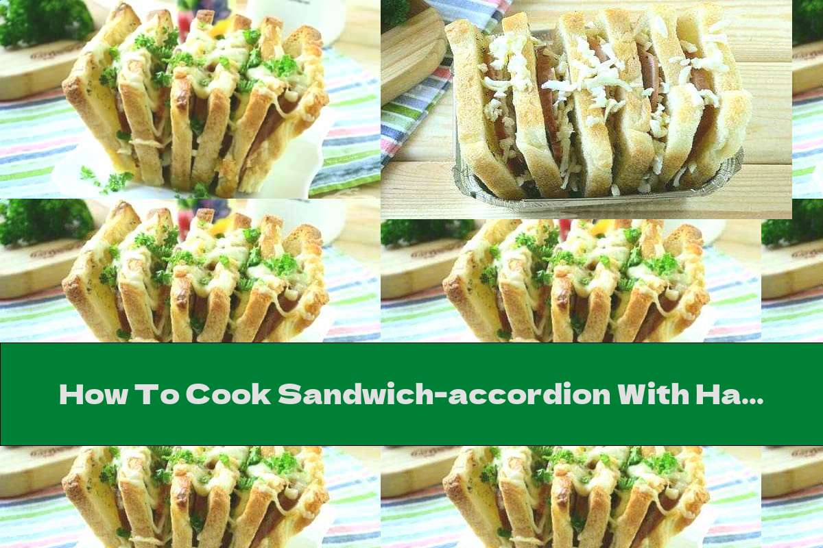 How To Cook Sandwichaccordion With Ham And Mozzarella Recipe This