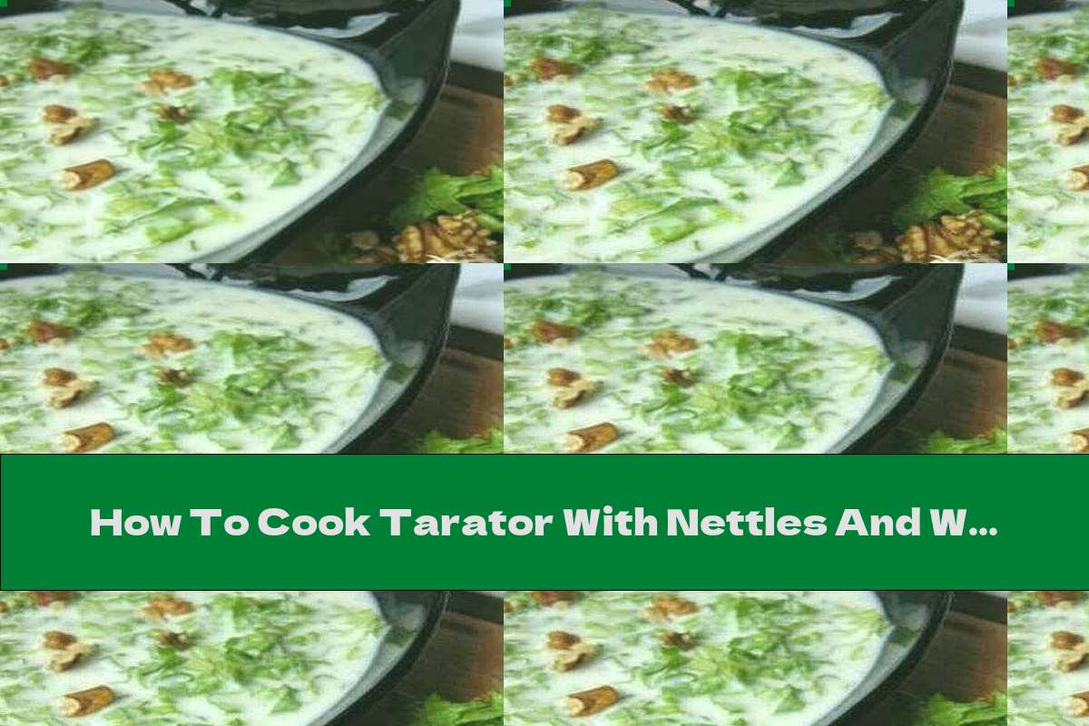 How To Cook Tarator With Nettles And Walnuts Recipe This Nutrition