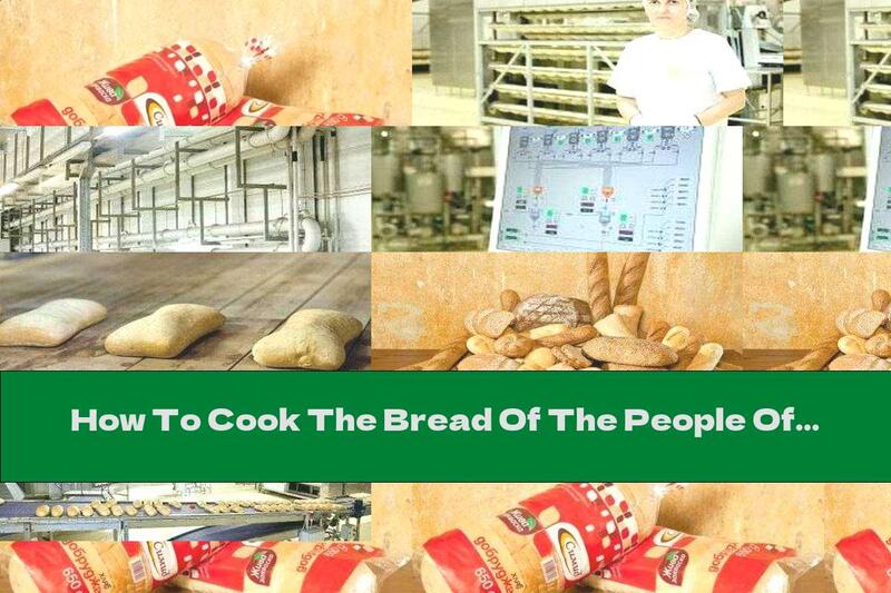 How To Cook The Bread Of The People Of Sofia - With Live Sourdough And Baked On A Stone - Recipe
