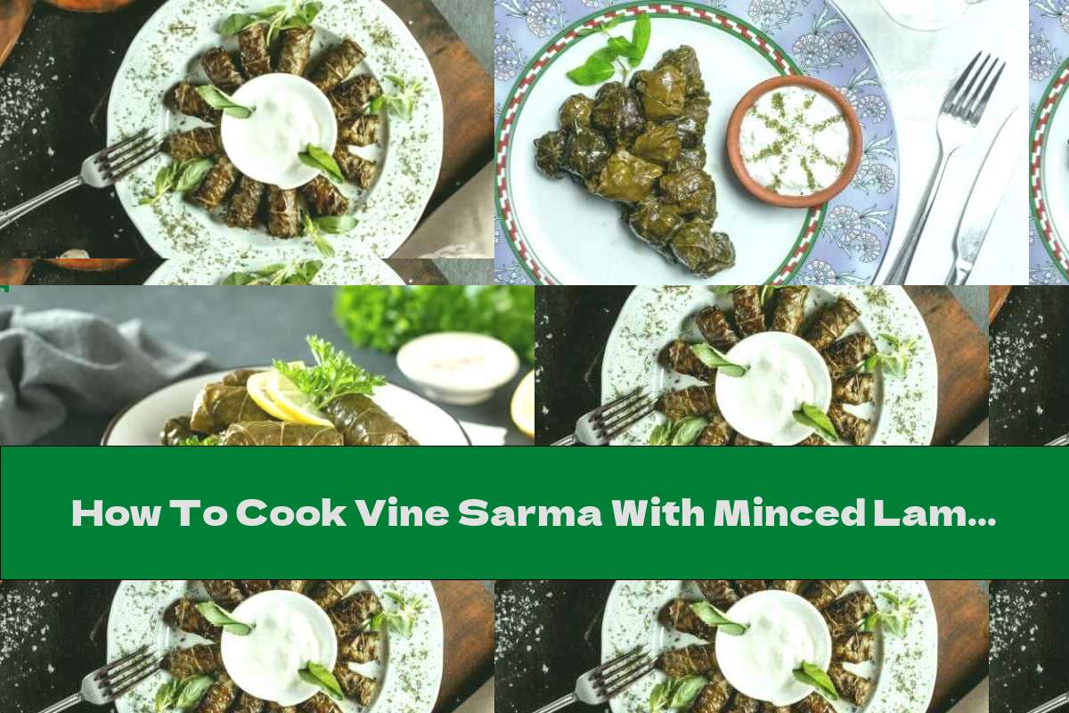 How To Cook Vine Sarma With Minced Lamb, Rice And Garlic Sauce Recipe This Nutrition