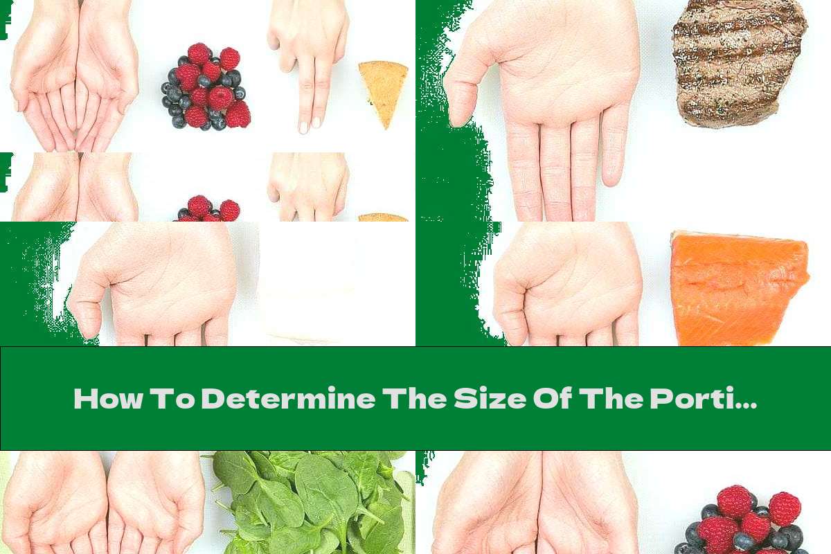 How To Determine The Size Of The Portion Of Food We Need With The Help Of The Palm
