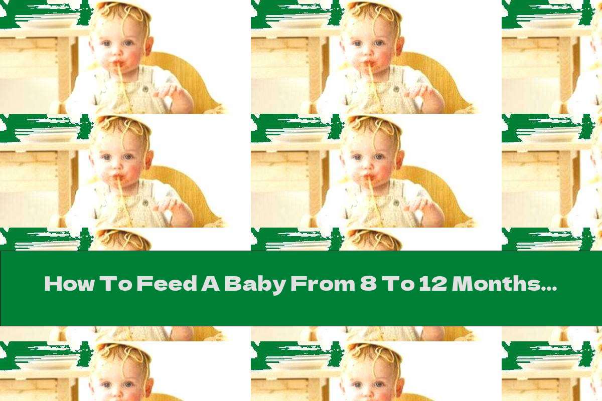 How To Feed A Baby From 8 To 12 Months Of Age? - This Nutrition