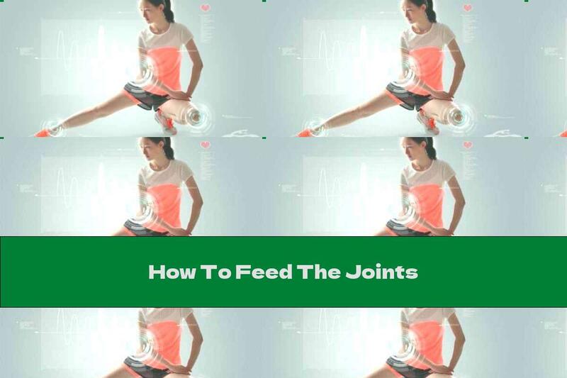 How To Feed The Joints
