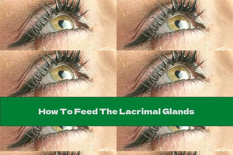 How To Feed The Lacrimal Glands