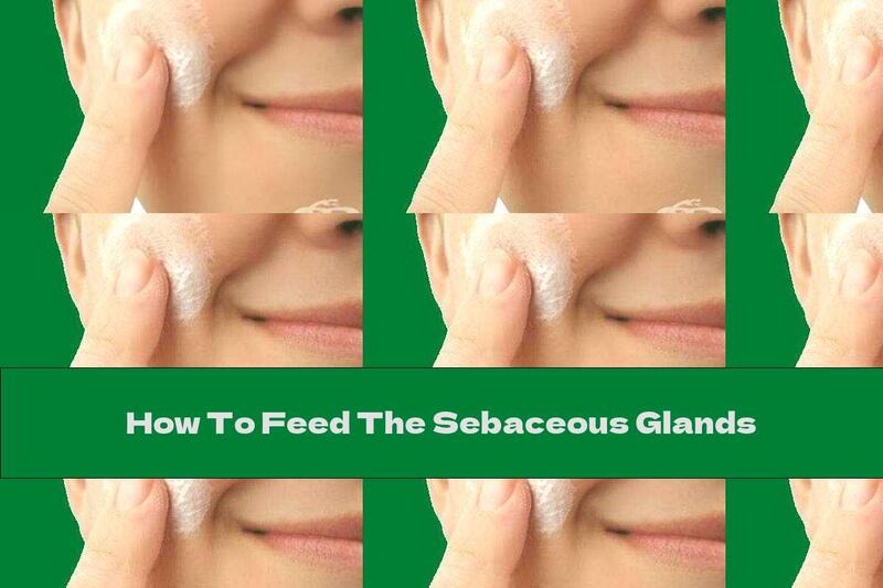 How To Feed The Sebaceous Glands