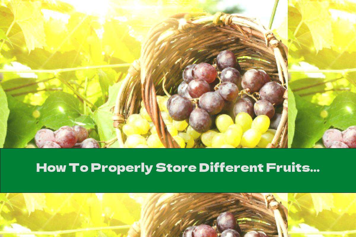 How To Properly Store Different Fruits? This Nutrition
