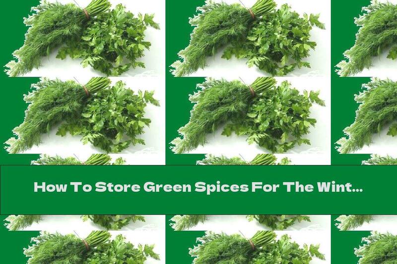 How To Store Green Spices For The Winter?