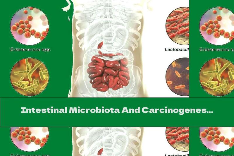 Intestinal Microbiota And Carcinogenesis - Disturbed Intestinal Flora Leads To Cancer