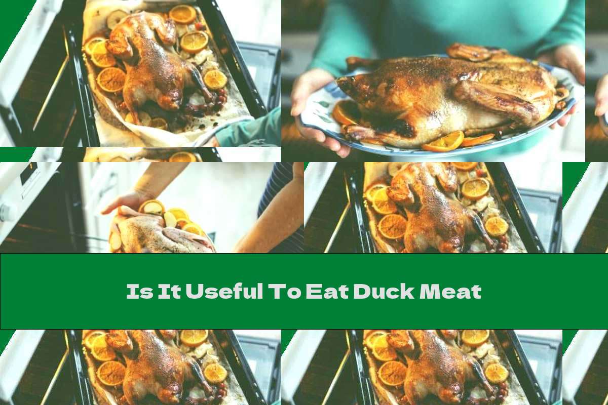 is-it-useful-to-eat-duck-meat-this-nutrition