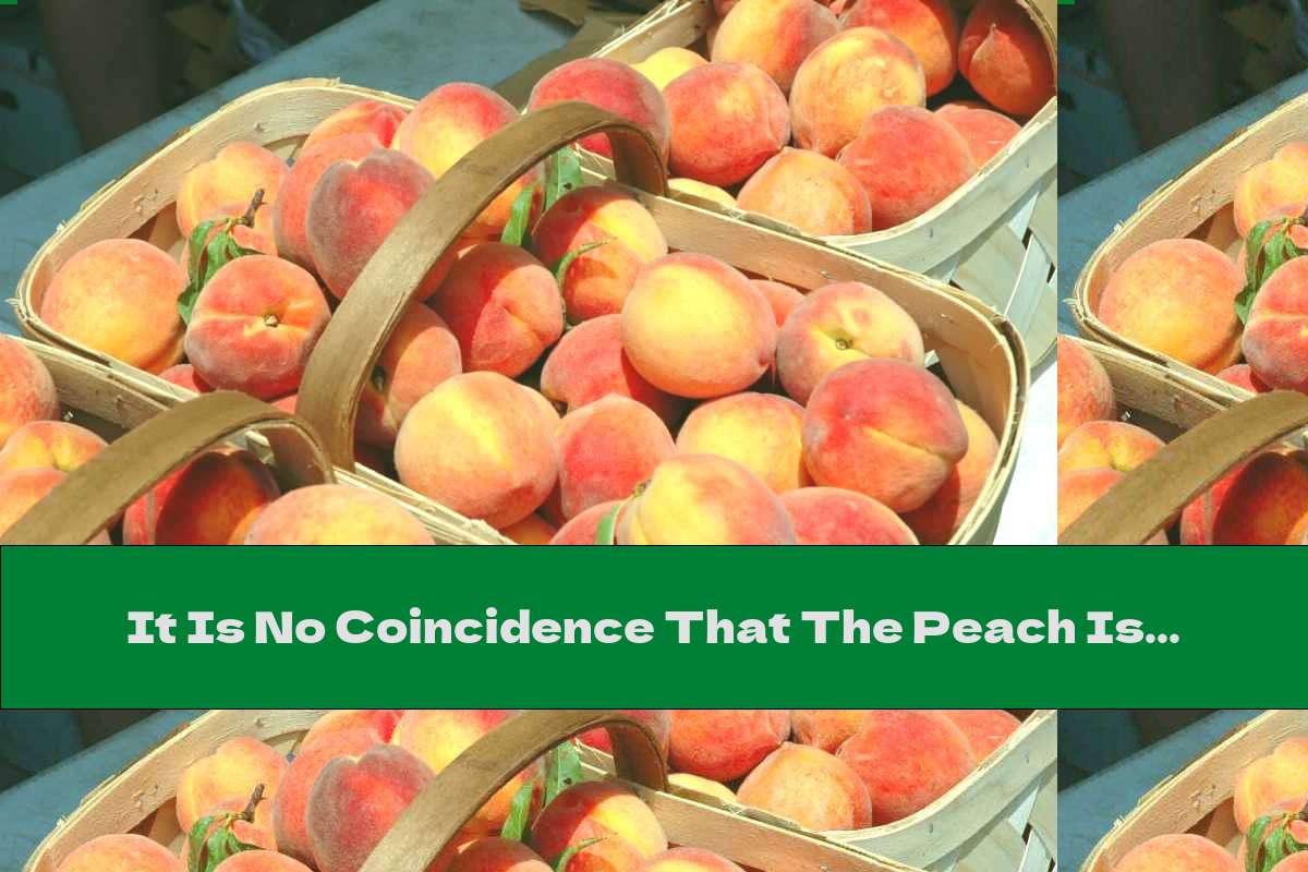 It Is No Coincidence That The Peach Is The Queen Of Summer Fruits