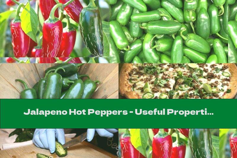 Jalapeno Hot Peppers - Useful Properties And Contraindications