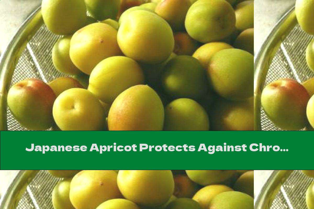 Japanese Apricot Protects Against Chronic Atrophic Gastritis
