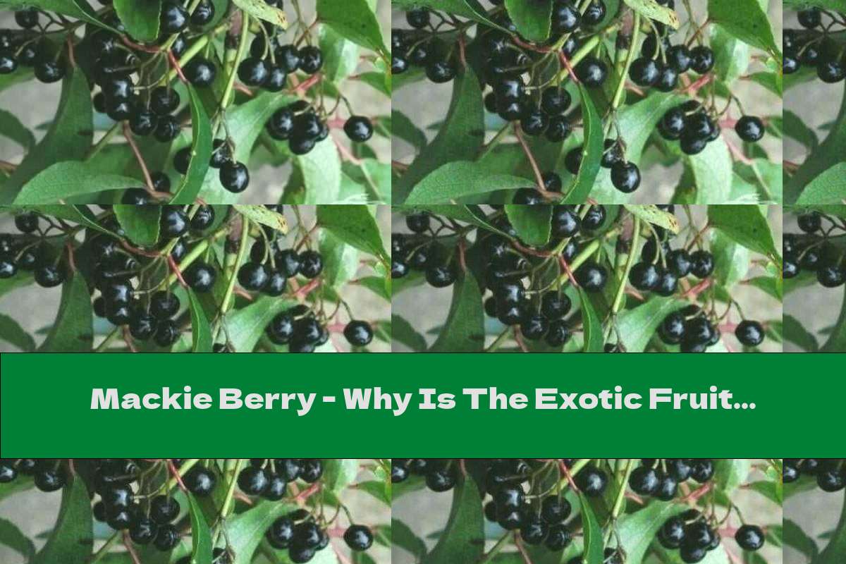 Mackie Berry - Why Is The Exotic Fruit Useful