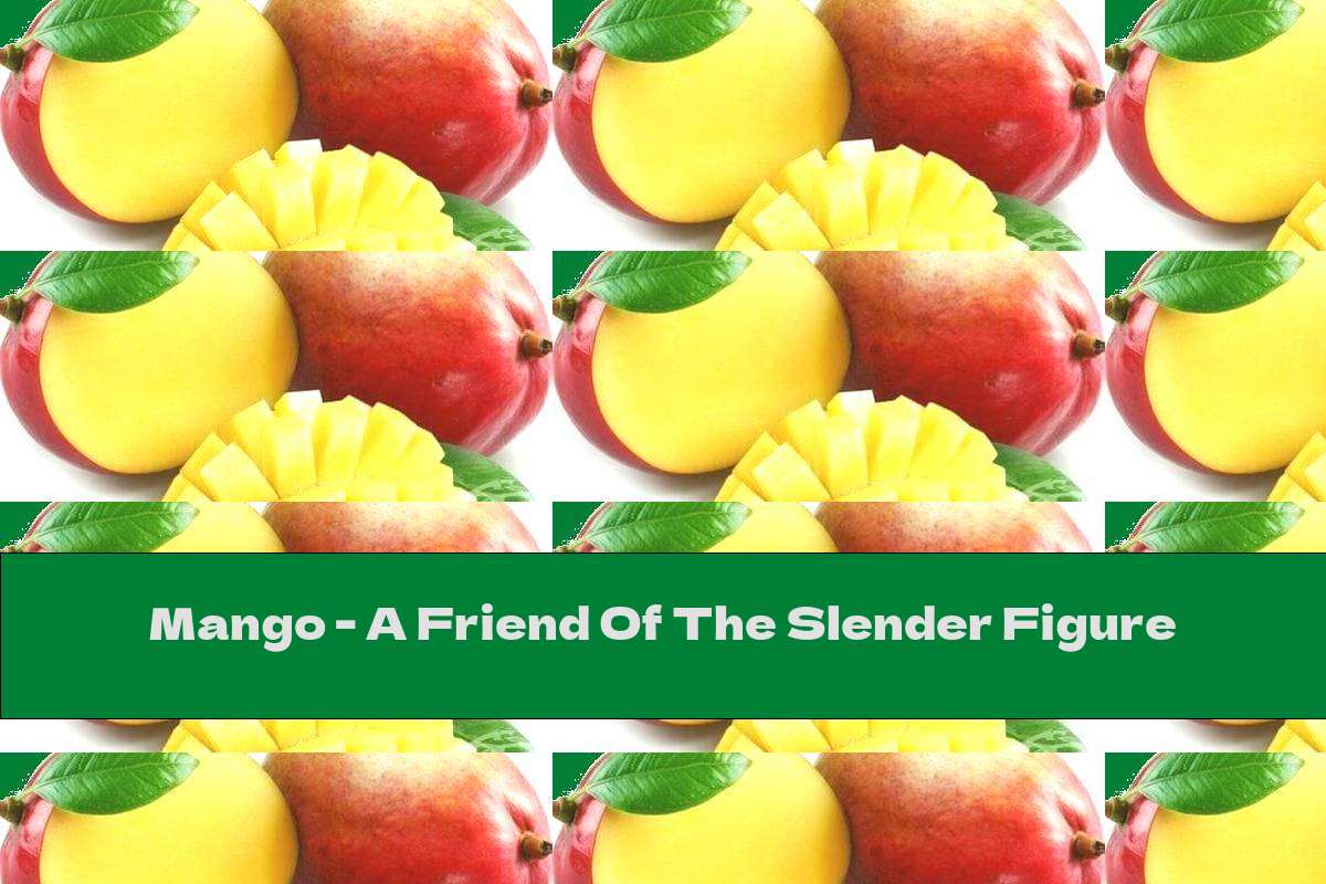 Mango - A Friend Of The Slender Figure