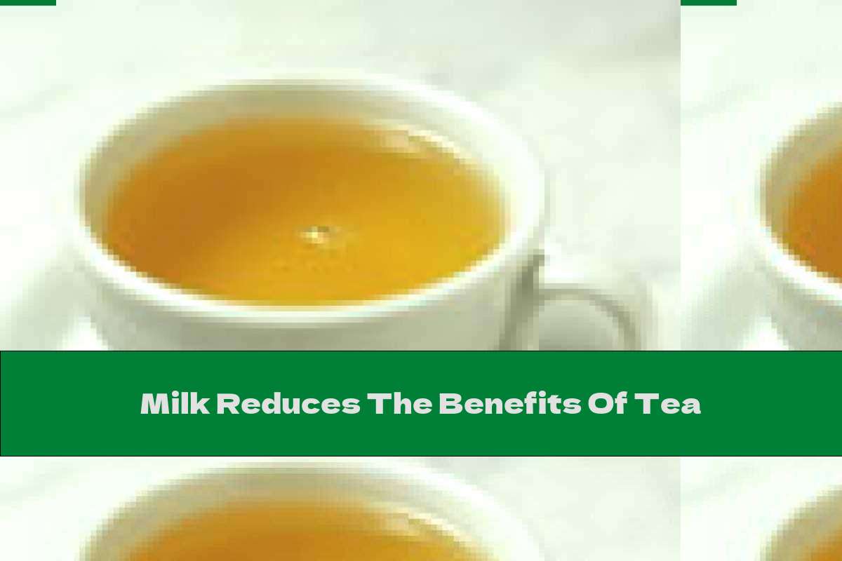 Milk Reduces The Benefits Of Tea