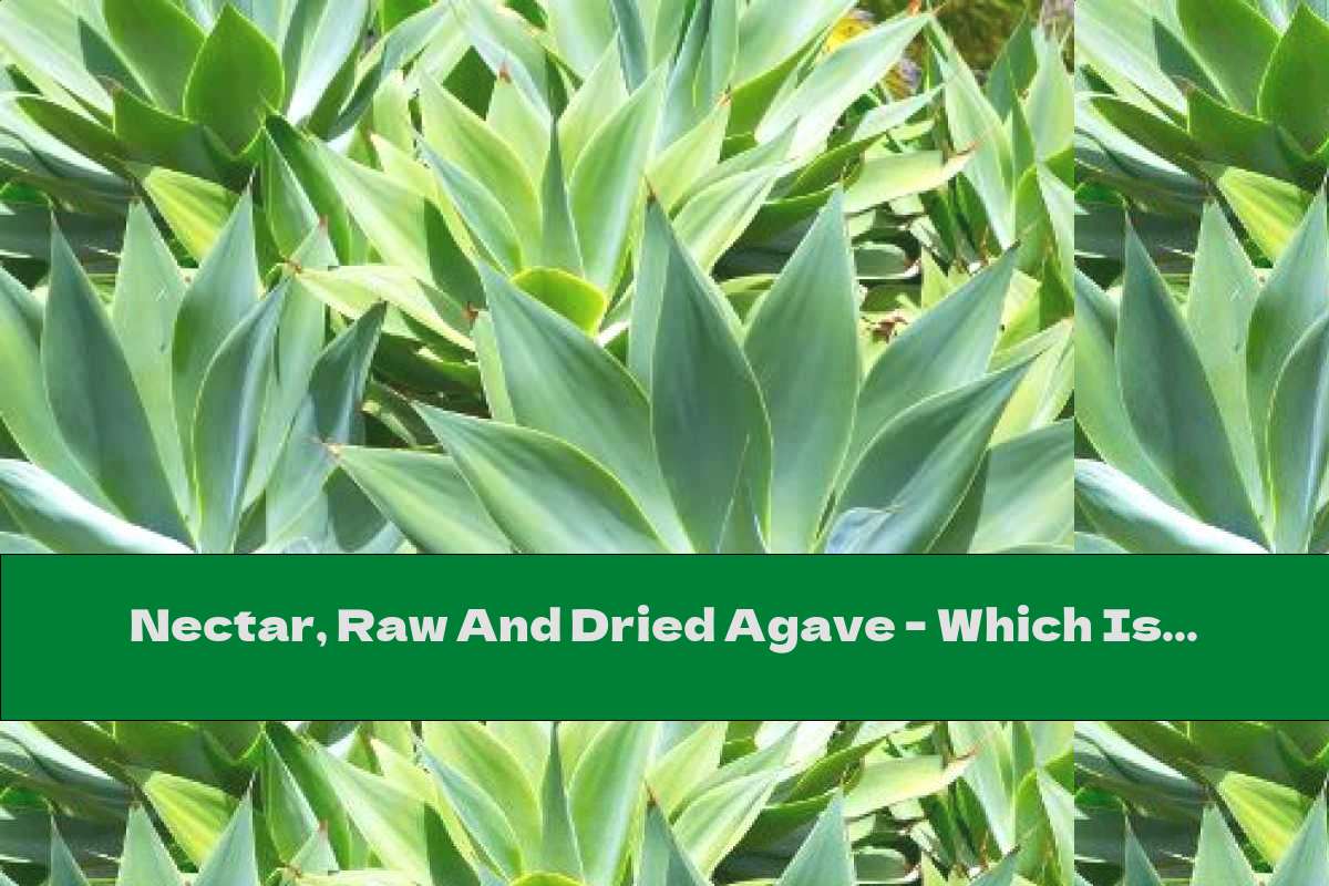 Nectar, Raw And Dried Agave - Which Is More Useful?