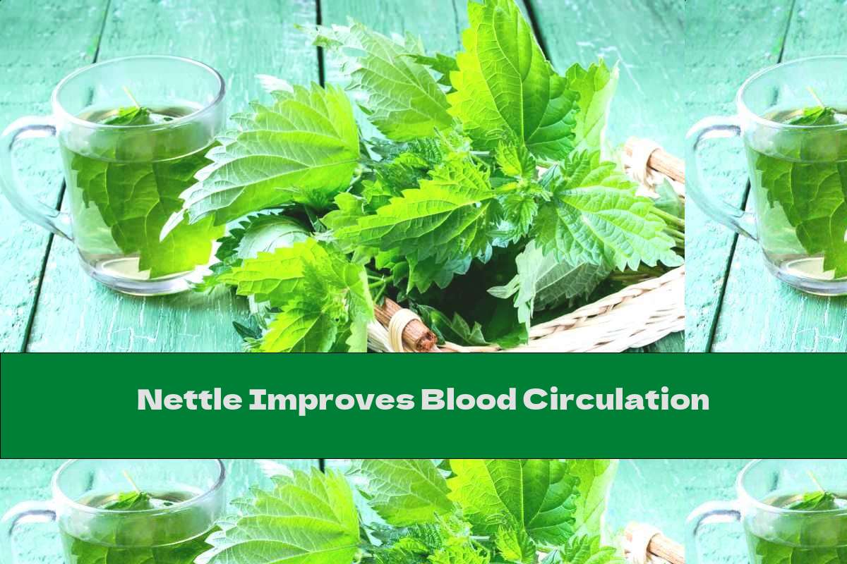 Nettle Improves Blood Circulation