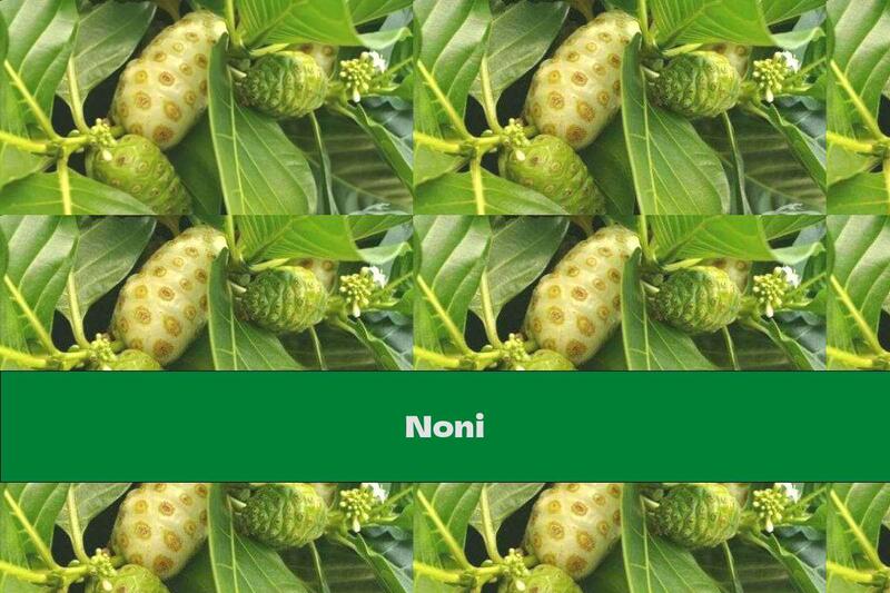 Noni