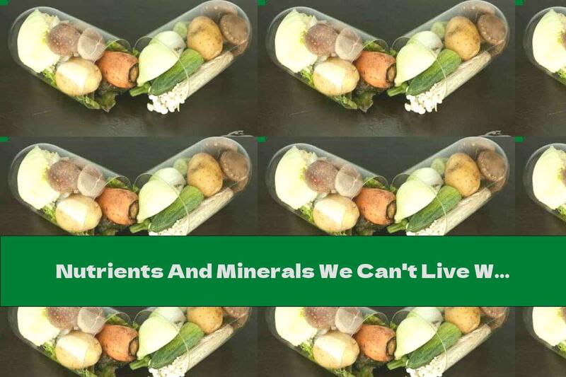 Nutrients And Minerals We Can't Live Without