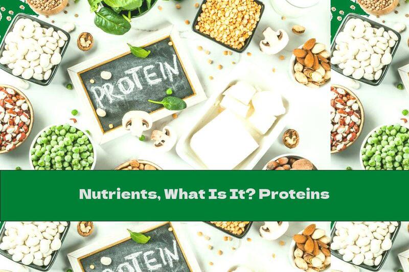 Nutrients, What Is It? Proteins