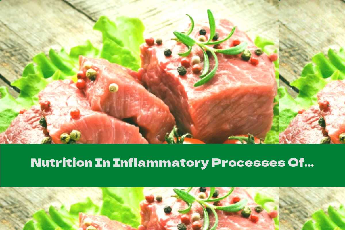 Nutrition In Inflammatory Processes Of The Pancreas