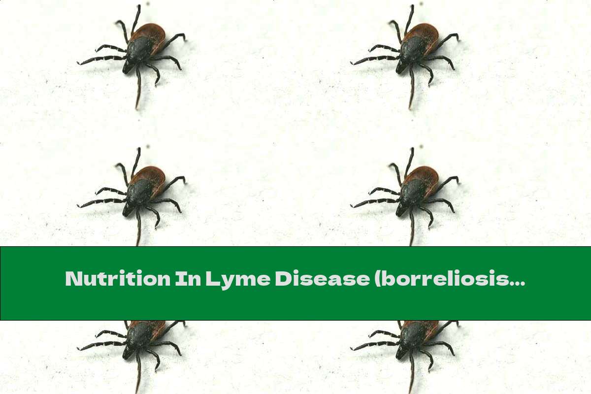 Nutrition In Lyme Disease (borreliosis) This Nutrition