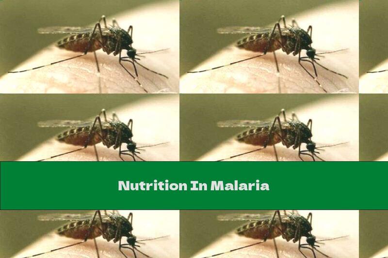 Nutrition In Malaria