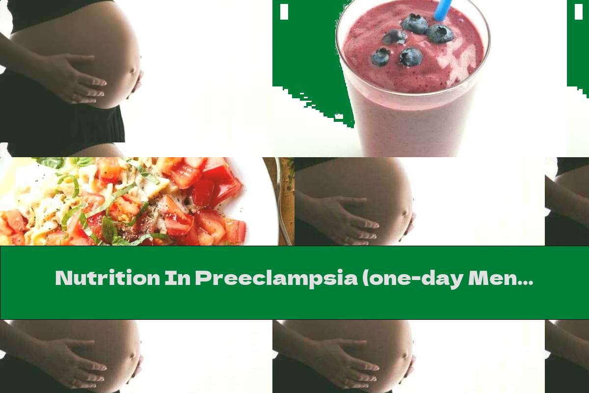 Nutrition In Preeclampsia (one-day Menu)