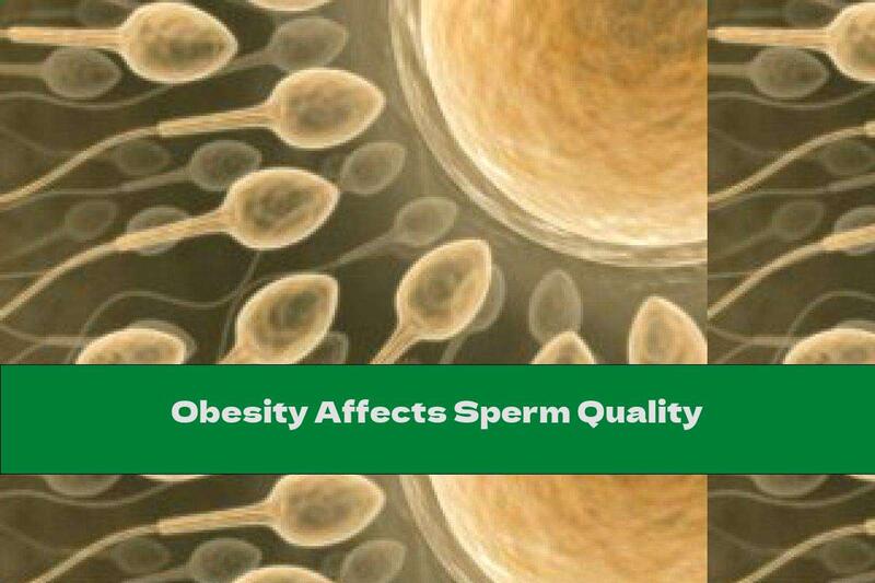 Obesity Affects Sperm Quality