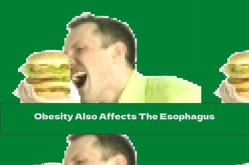 Obesity Also Affects The Esophagus