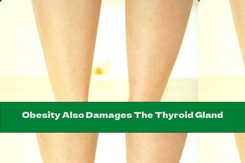 Obesity Also Damages The Thyroid Gland