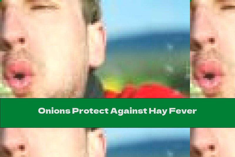 Onions Protect Against Hay Fever