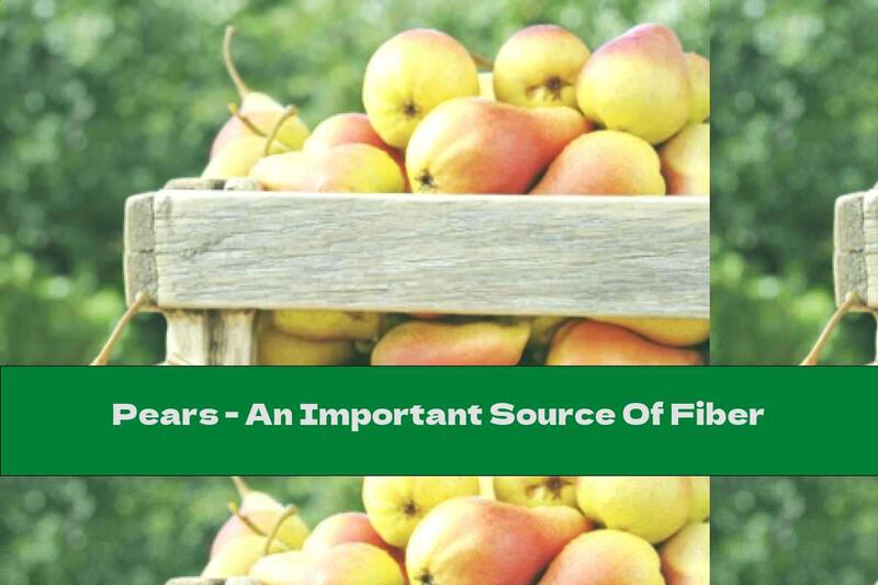 Pears - An Important Source Of Fiber