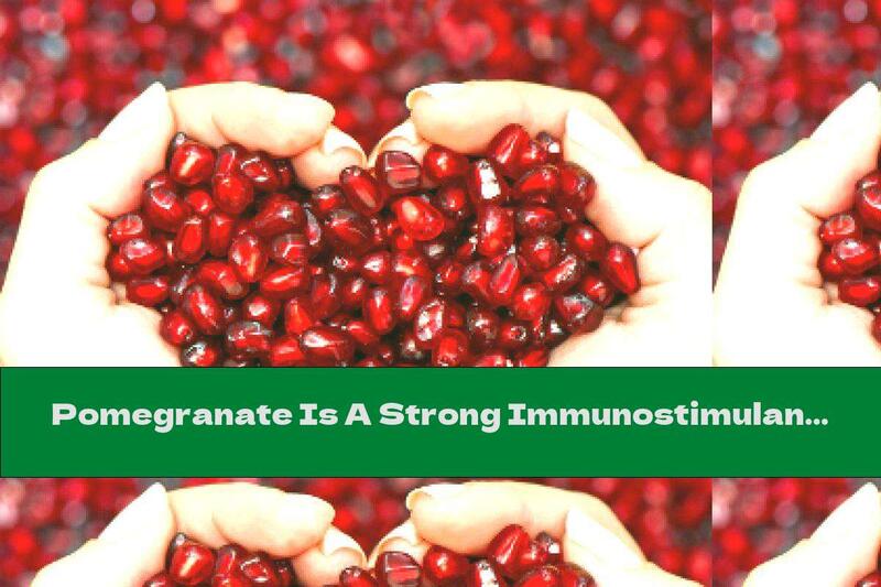 Pomegranate Is A Strong Immunostimulant