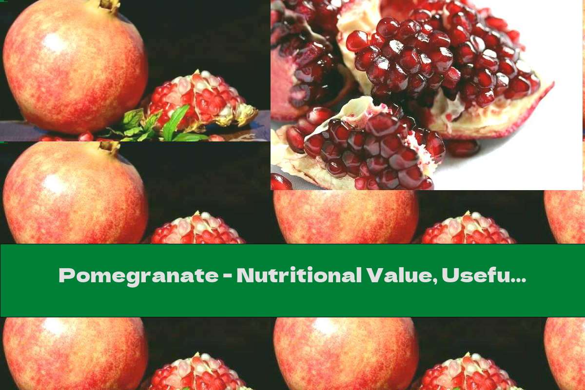 Pomegranate - Nutritional Value, Useful Properties And Contraindications