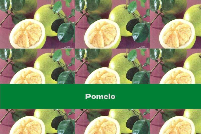 Pomelo