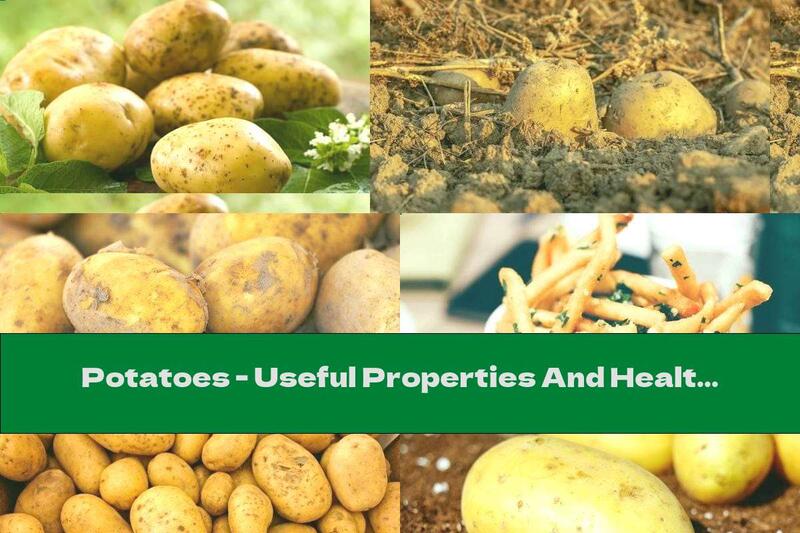 Potatoes - Useful Properties And Health Risks
