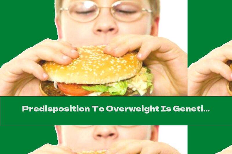 Predisposition To Overweight Is Genetically Determined
